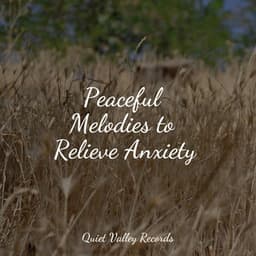 Peaceful Melodies to Relieve Anxiety - Happy Baby Lullaby Collection