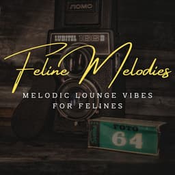 Feline Melodies: Coffee Lounge Jazz for Curious Cats - Joyce Trio