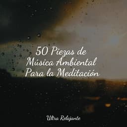 50 Piezas de Música Ambiental Para la Meditación - Sonidos de la Naturaleza