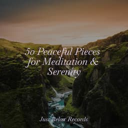 50 Peaceful Pieces for Meditation & Serenity - Música Para Meditar y Relajarse