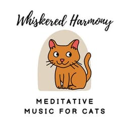 Whiskered Harmony: Meditative Music for Cats - Hush Kitty