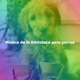 Música de la biblioteca para perros - Jazz Collections for Reading