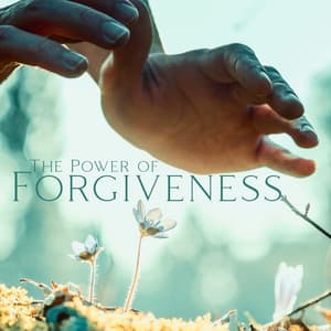 The Power of Forgiveness: Awareness Meditation, Stop Regretting and Live Now - Motivational Divine Meditation Zone
