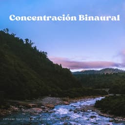 Enfoque Tranquilo De La Corriente: Concentración Binaural En La Orilla Del Agua - Ondas Alfa Colectivo