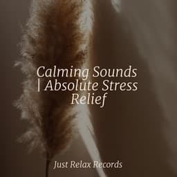 Calming Sounds | Absolute Stress Relief - Easy Sleep Music
