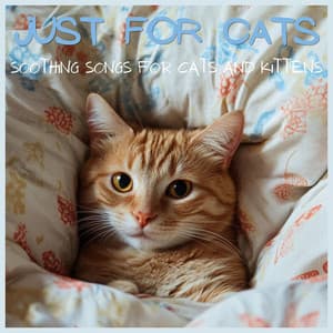 Just for Cats - Soothing Songs for Cats and Kittens - RelaxMyCat