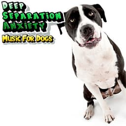 Calming Dog Relaxation Music For Stress Reduction - Deep Separation Anxiety Music For Dogs