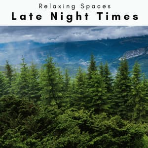 2023: Late Night Times - Relaxing Spaces