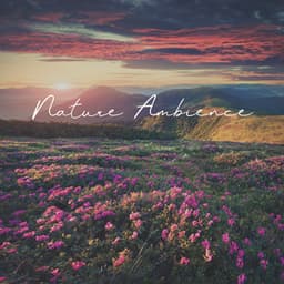 Nature Ambience: Sounds of World, Listen to Nature, Time for Rest, Clearing Mind - Relaxing Nature Sounds Collection