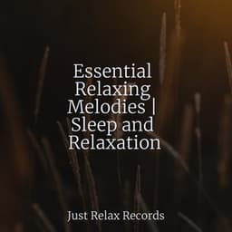Essential Relaxing Melodies | Sleep and Relaxation - Yoga Music