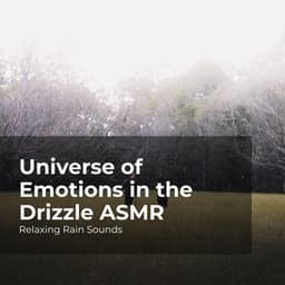 Universe of Emotions in the Drizzle ASMR - Relaxing Rain Sounds