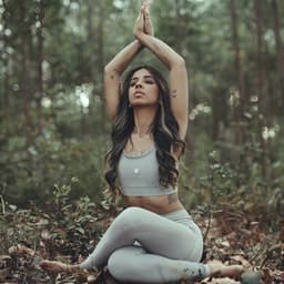 Solfeggio - Meditation Architect