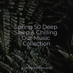 Spring 50 Deep Sleep & Chilling Out Music Collection - Drowsy Cloud