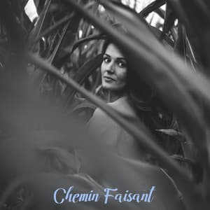 Chemin faisant - Musique Zen