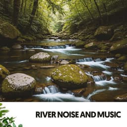Rivers & Streams: Melodies of the Flowing Stream - Relajacion
