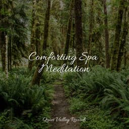 Comforting Spa Meditation - Studying Music