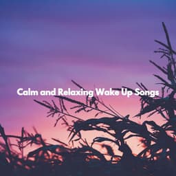 Calm and Relaxing Wake Up Songs - Jazz Rilassante Collezioni