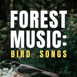 Forest Music: Bird Songs - Bird Songs