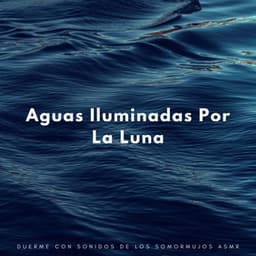 Aguas Iluminadas Por La Luna: Duerme Con Sonidos De Los Somormujos Asmr - Ambiente de agua
