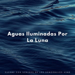 Aguas Iluminadas Por La Luna: Duerme Con Sonidos De Los Somormujos Asmr - Ambiente de agua