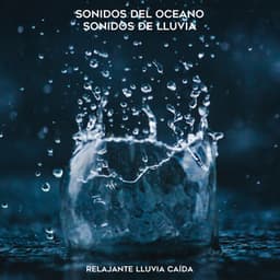 Relajante Lluvia Caída - Sonidos De Lluvia