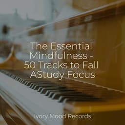 The Essential Mindfulness - 50 Tracks to Fall AStudy Focus - Ivory Mood