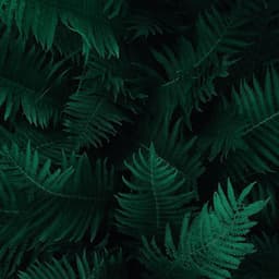 50 Healing Theta Wave Songs - Natural Rain Sounds for Sleeping