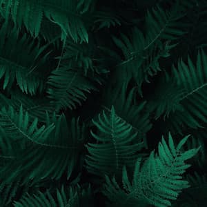 50 Healing Theta Wave Songs - Natural Rain Sounds for Sleeping