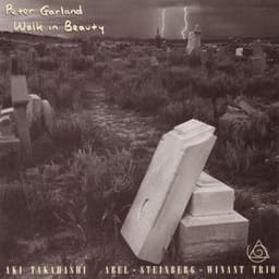 Walk In Beauty - Peter Garland