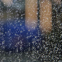 Pleasant Rainfall Sleep Sound - Calming Rainforest Sounds