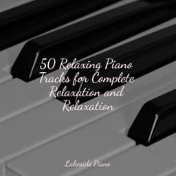 50 Relaxing Piano Tracks for Complete Relaxation and Relaxation - SD