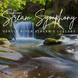 Nature's Stream Symphony: Waterside Serenity - Nature & Sounds Backgrounds