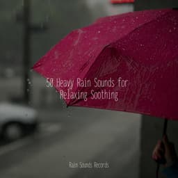 50 Heavy Rain Sounds for Relaxing Soothing - Relaxed Minds