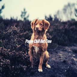 Puppy Chill Out Time - Puppy Sleeping Sounds