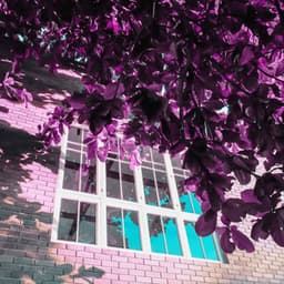 Ambiance for Daily Moment - Slow Smooth Jazz