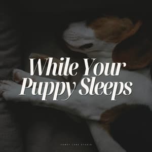 While Your Puppy Sleeps - Official Pet Care Collection