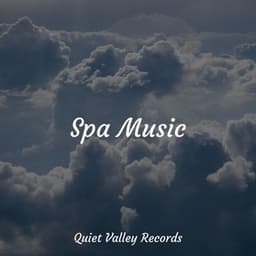 Spa Music - Study Music