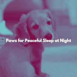 Paws for Peaceful Sleep at Night - Chill Jazz-Lounge
