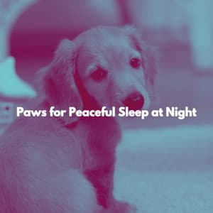 Paws for Peaceful Sleep at Night - Chill Jazz-Lounge