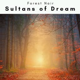 1 0 0 1 Sultans of Dream - Forest Noir