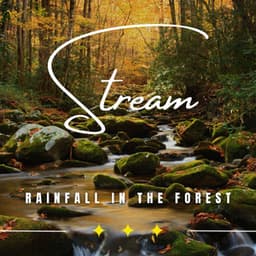Rainy Retreat: Binaural Rain Soundscapes - Rainded