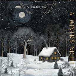 A Wintry Night - Sleeping Little Angels