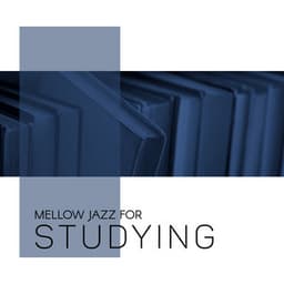 Mellow Jazz for Studying – Smooth Jazz BGM to Help You Focus, Concentation Boost, Stay Focused, Music for Learning - Relaxing 'n' Smooth Jazz