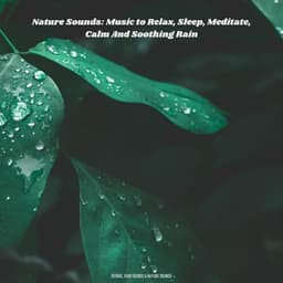 Nature Sounds: Music to Relax, Sleep, Meditate, Calm And Soothing Rain - Derrol