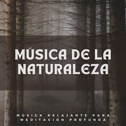 Música De La Naturaleza: Música Relajante Para Meditación Profunda - Naturaleza Caldwell