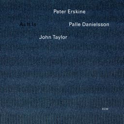 As It Is - Peter Erskine