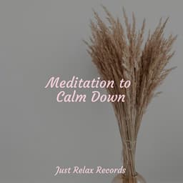 Meditation to Calm Down - Dormir