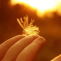 Radiant Jazz Horizons: Melodic Explorations of Soundscapes - Coffee Shop Piano Jazz Playlist