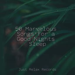 50 Marvelous Songs for a Good Nights Sleep - Musica de Relajación Academy