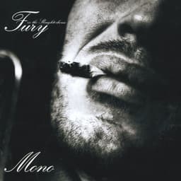 Mono - Fury In The Slaughterhouse